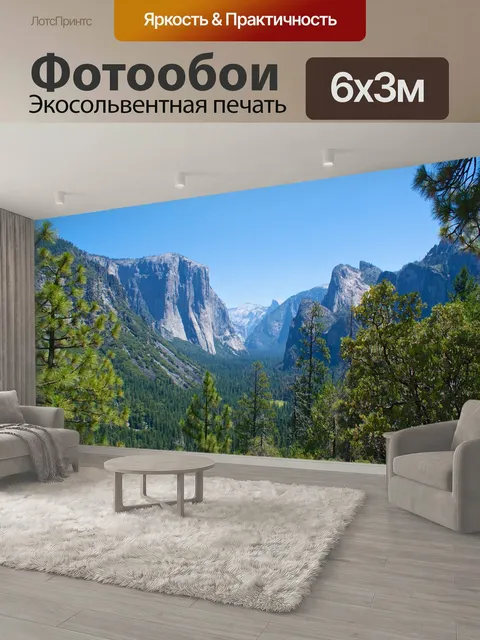600 × 300 см · Экосольвентная печать