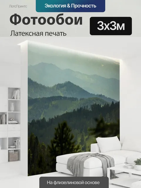 300 × 300 см · Латексная печать