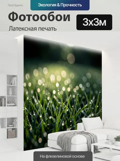 300 × 300 см · Латексная печать