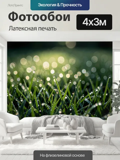 400 × 300 см · Латексная печать