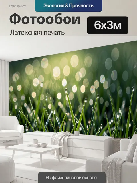600 × 300 см · Латексная печать