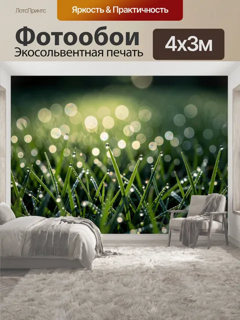 400 × 300 см · Экосольвентная печать