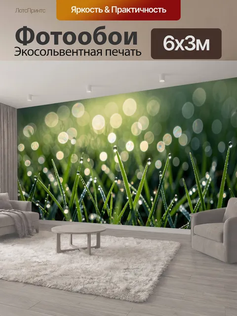 600 × 300 см · Экосольвентная печать