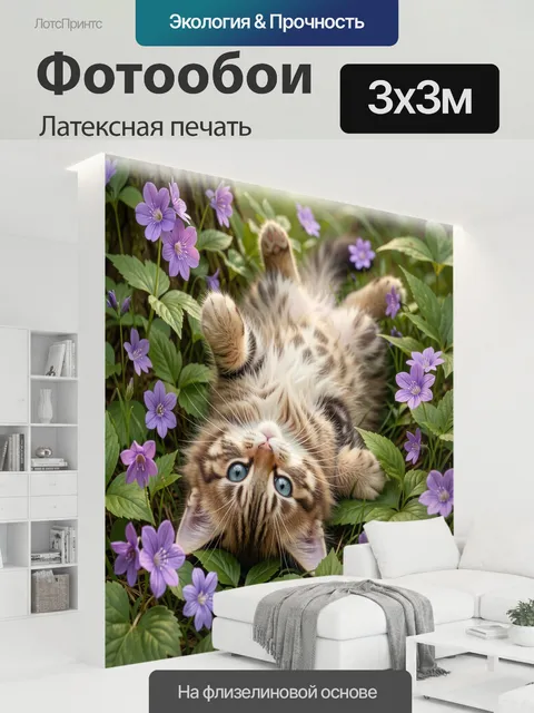 300 × 300 см · Латексная печать