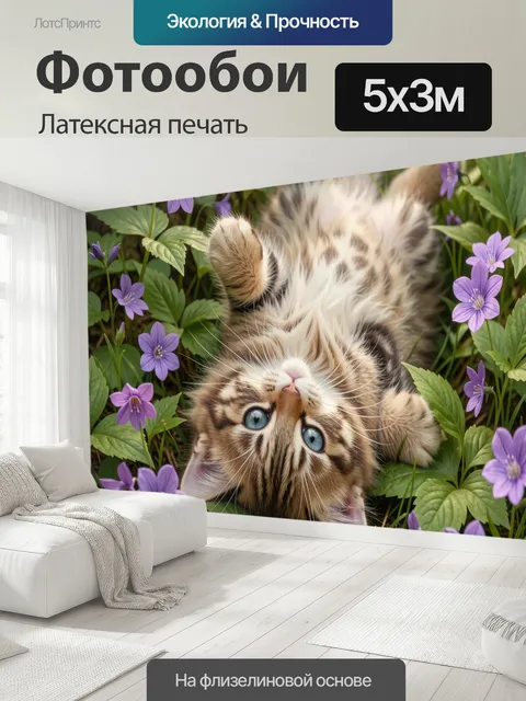 500 × 300 см · Латексная печать