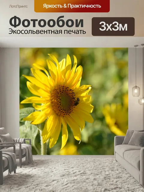 Фотообои Подсолнух, природа, летом
