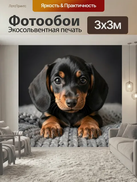 Фотообои Щенок таксы на пледе