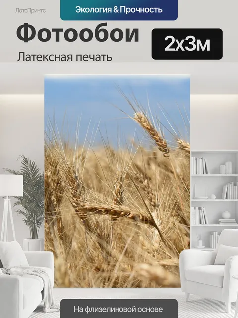 200 × 300 см · Латексная печать