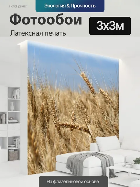 300 × 300 см · Латексная печать