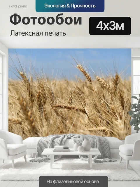 400 × 300 см · Латексная печать