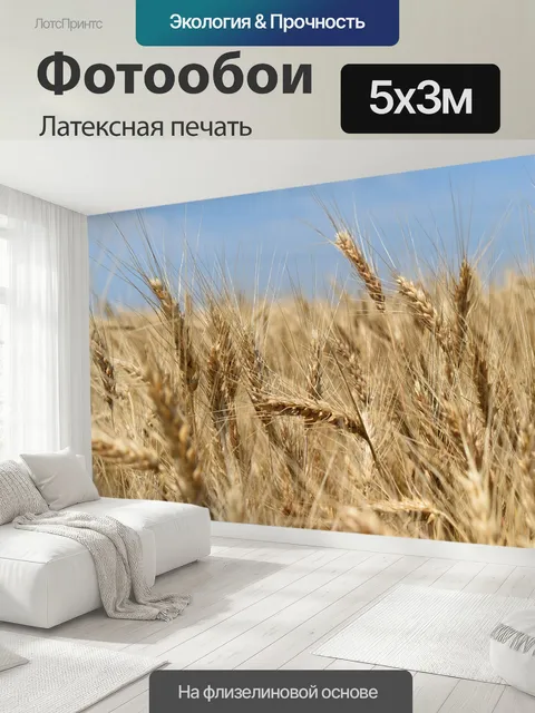 500 × 300 см · Латексная печать