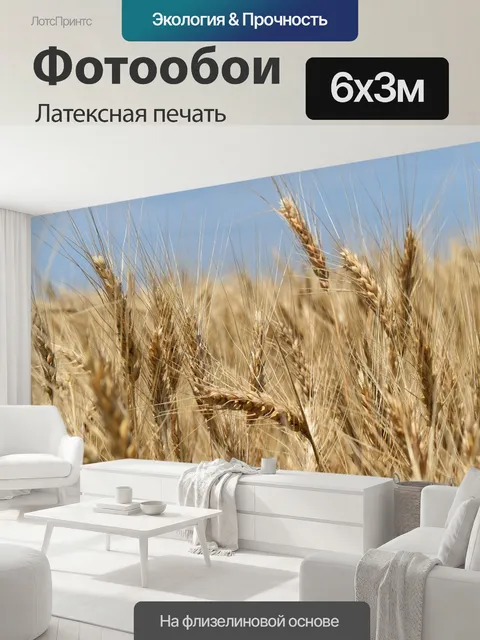 600 × 300 см · Латексная печать