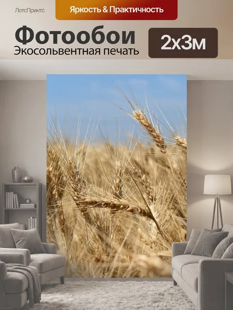 200 × 300 см · Экосольвентная печать