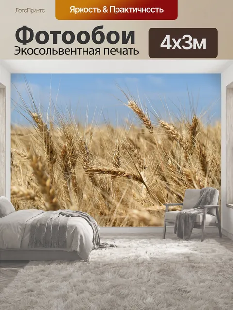 400 × 300 см · Экосольвентная печать