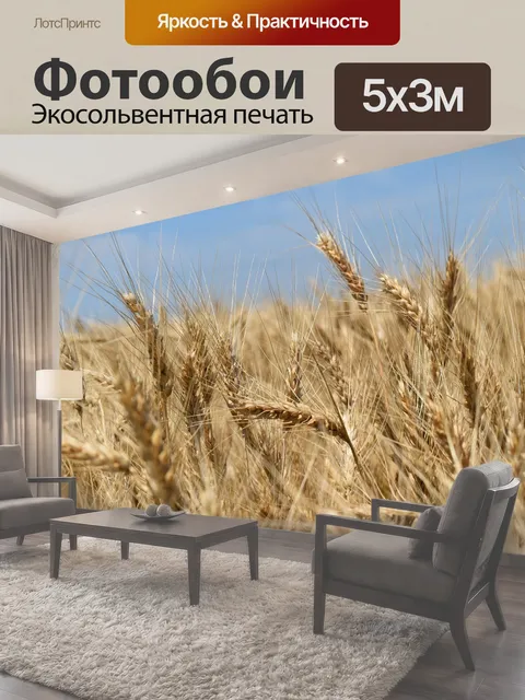 500 × 300 см · Экосольвентная печать