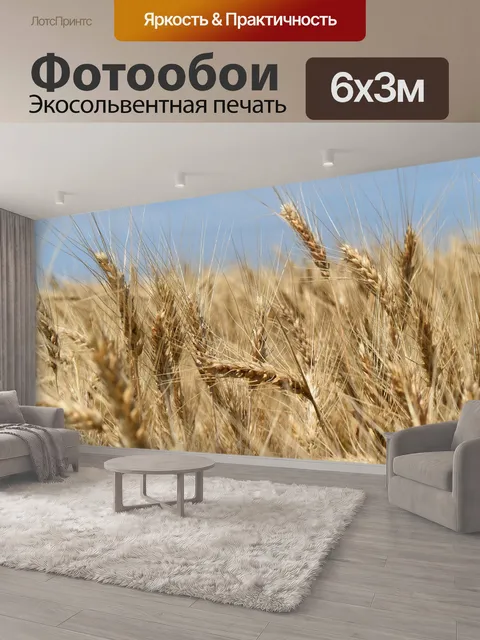 600 × 300 см · Экосольвентная печать