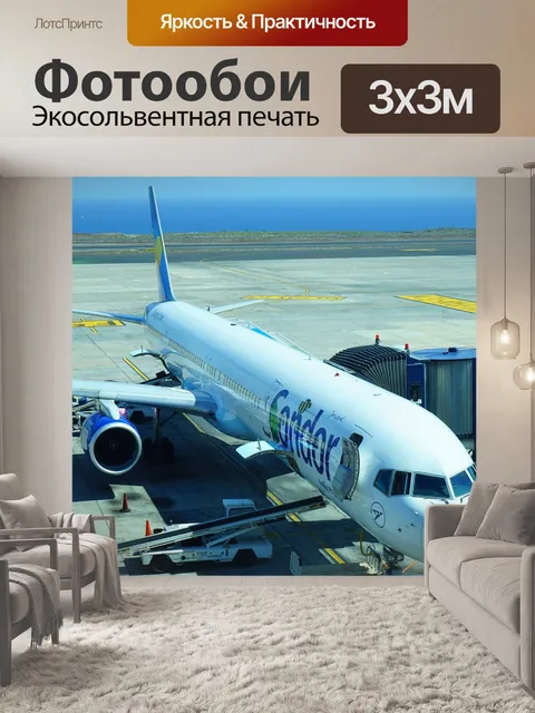 Фотообои Самолет, аэропорт, кондор