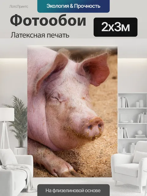 200 × 300 см · Латексная печать