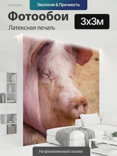 300 × 300 см · Латексная печать