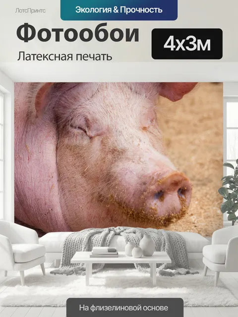 400 × 300 см · Латексная печать