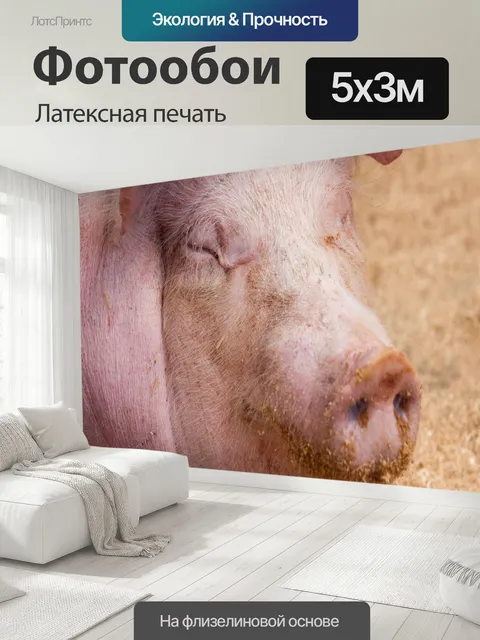 500 × 300 см · Латексная печать