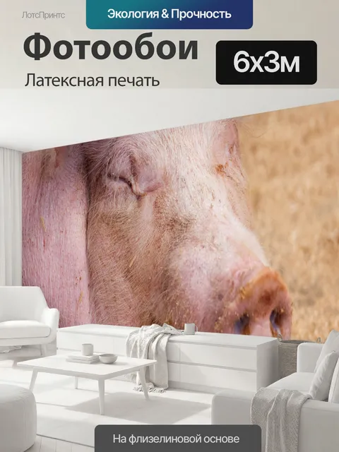600 × 300 см · Латексная печать