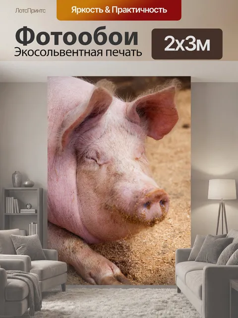 200 × 300 см · Экосольвентная печать