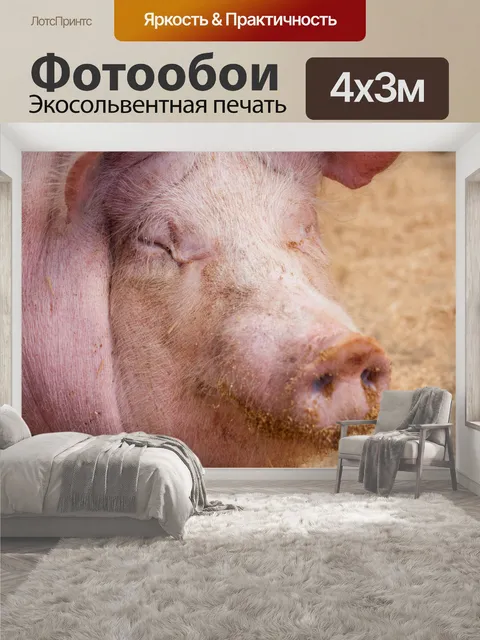 400 × 300 см · Экосольвентная печать