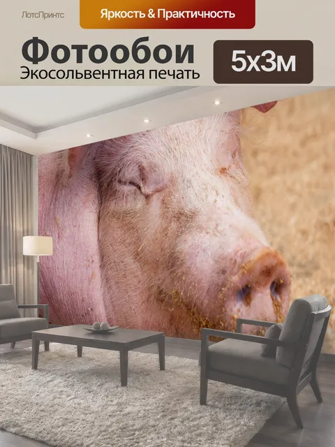 500 × 300 см · Экосольвентная печать