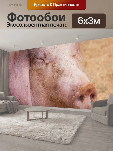 600 × 300 см · Экосольвентная печать