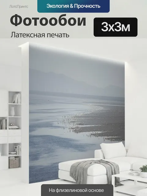 300 × 300 см · Латексная печать