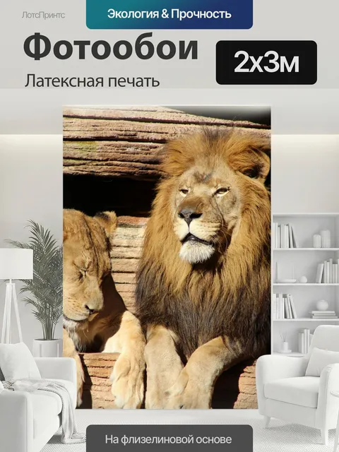 200 × 300 см · Латексная печать