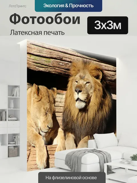 300 × 300 см · Латексная печать