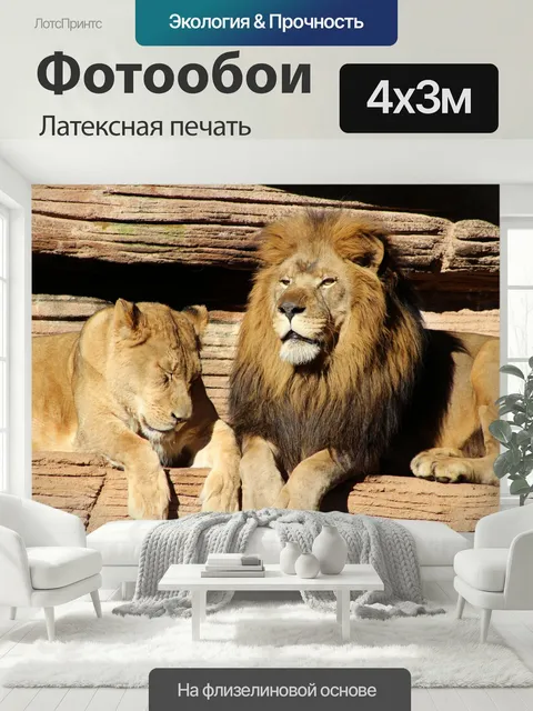 400 × 300 см · Латексная печать
