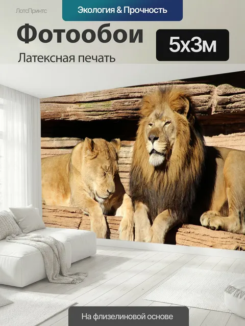 500 × 300 см · Латексная печать