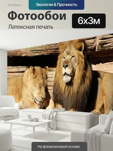 600 × 300 см · Латексная печать