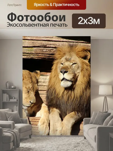 200 × 300 см · Экосольвентная печать