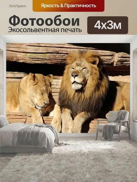 400 × 300 см · Экосольвентная печать