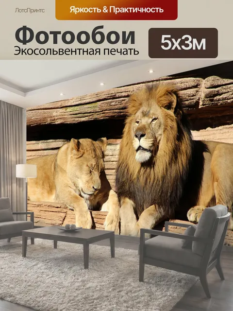 500 × 300 см · Экосольвентная печать