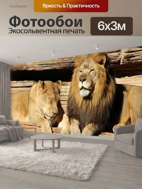 600 × 300 см · Экосольвентная печать