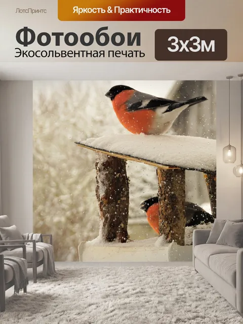 Фотообои Снегирь, птицы, зима