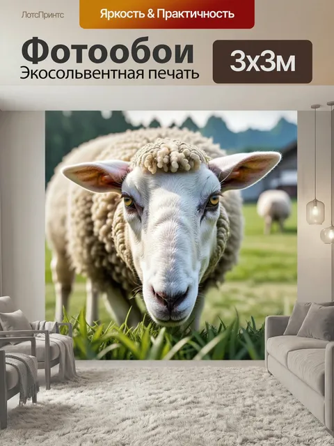 Фотообои Баран, отара, шерсть домашнее животное