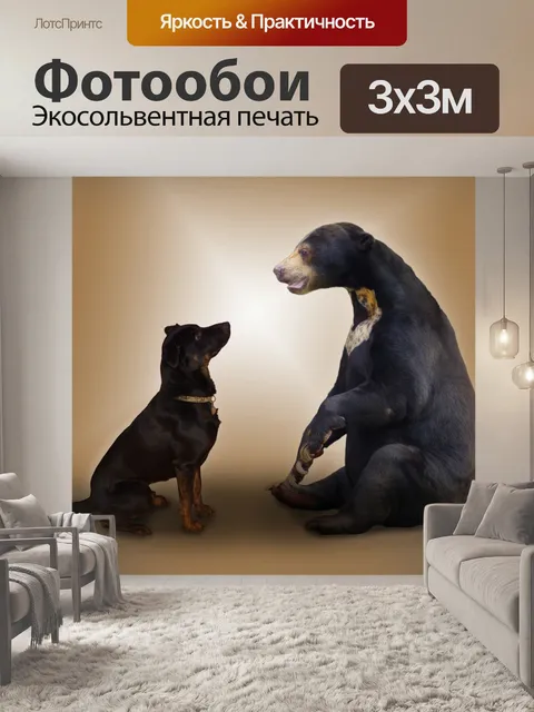 Фотообои Собака, бурый медведь, фотомонтаж