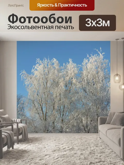 Фотообои Зима, фрост, природа