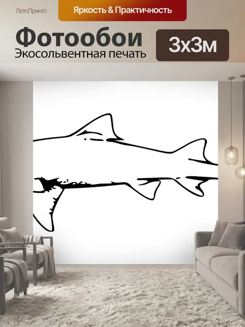 Фотообои Акула, животное, море