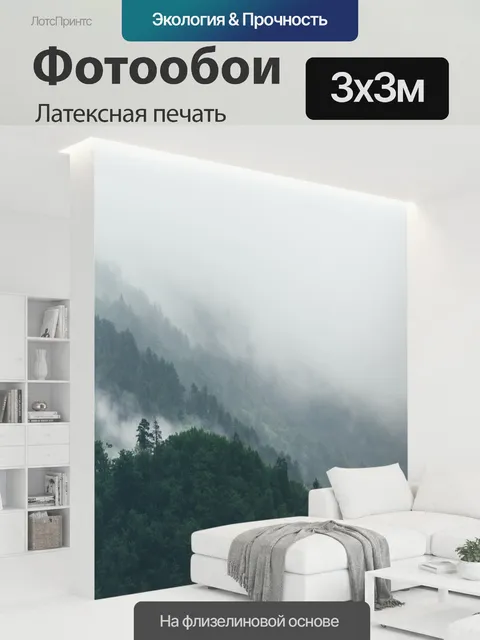 300 × 300 см · Латексная печать
