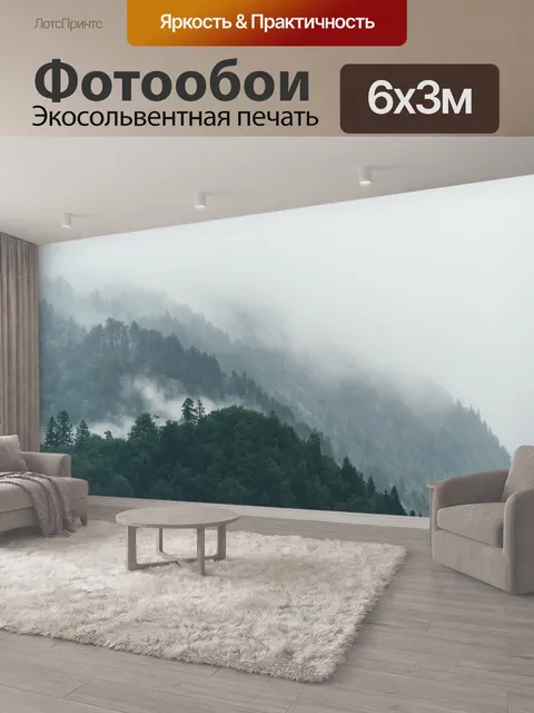 600 × 300 см · Экосольвентная печать