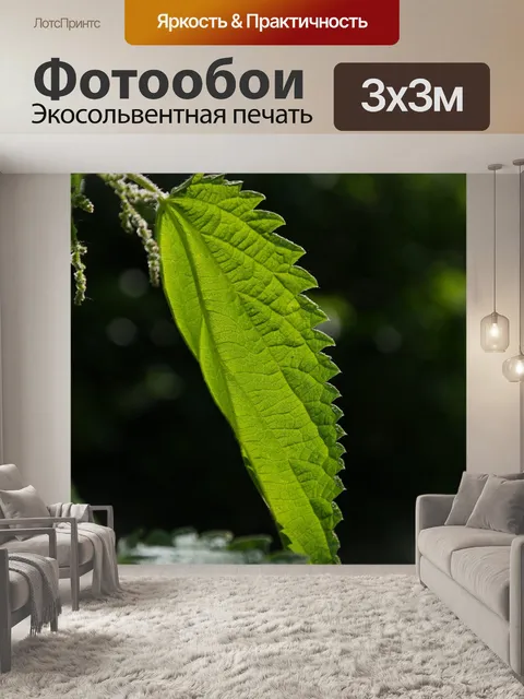 Фотообои Крапива, листья, горящие волосы