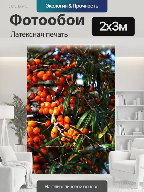 200 × 300 см · Латексная печать