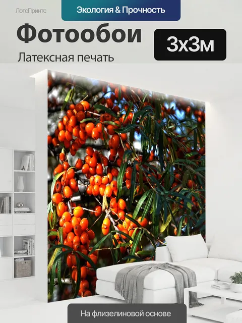 300 × 300 см · Латексная печать